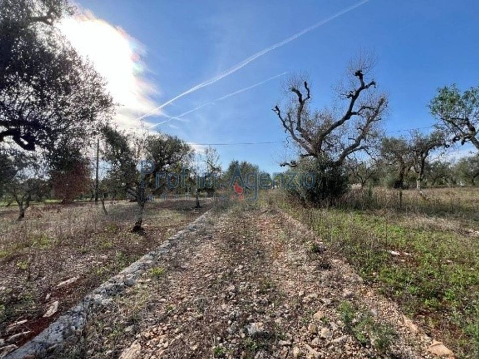 Landejendom i Ceglie Messapica, Brindisi - foto 5